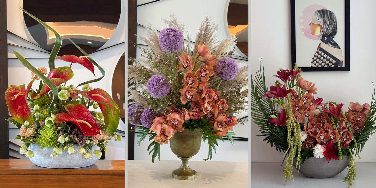 Three premium hotel floral arrangements featuring sculptural anthuriums, cymbidium orchids, alliums, and lilies.