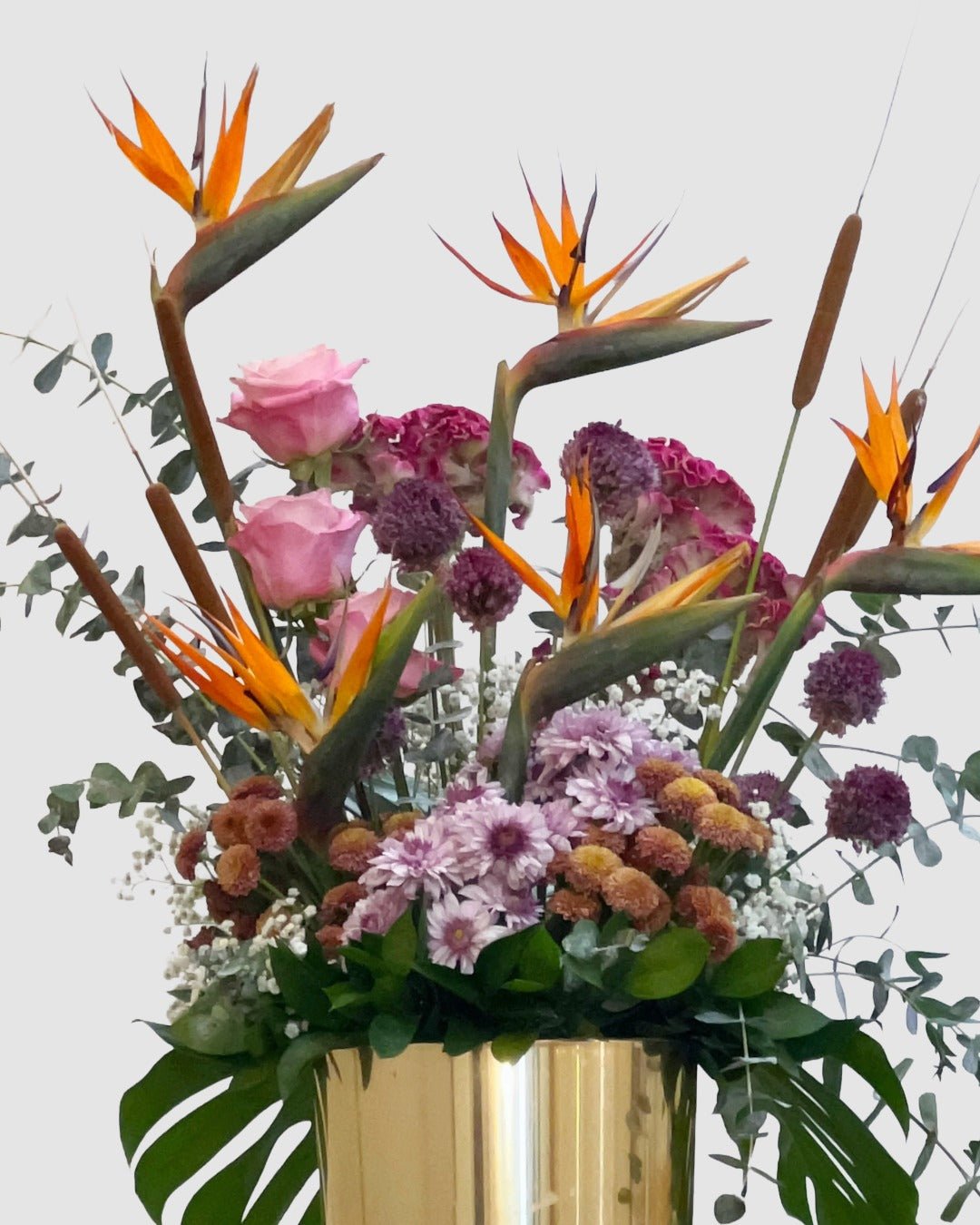 Bird of Paradise Sunset - service_name