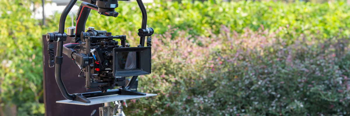 A movie camera positioned in a garden of wild flowers and greenery.